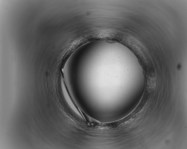 X0000098170260200805011020