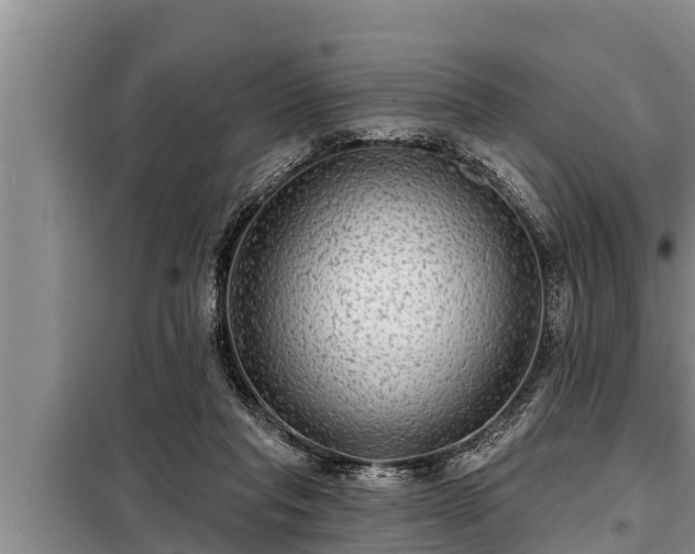 X0000098170261200805011020