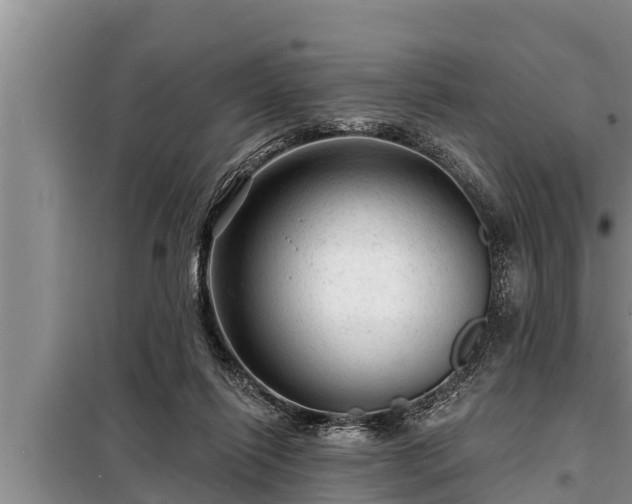 X0000098170262200805011020