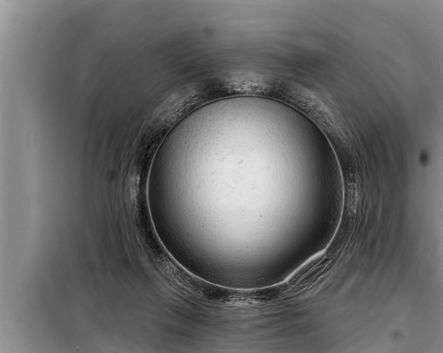 X0000098170263200805011020