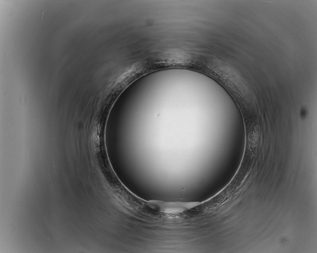 X0000098170264200805011020