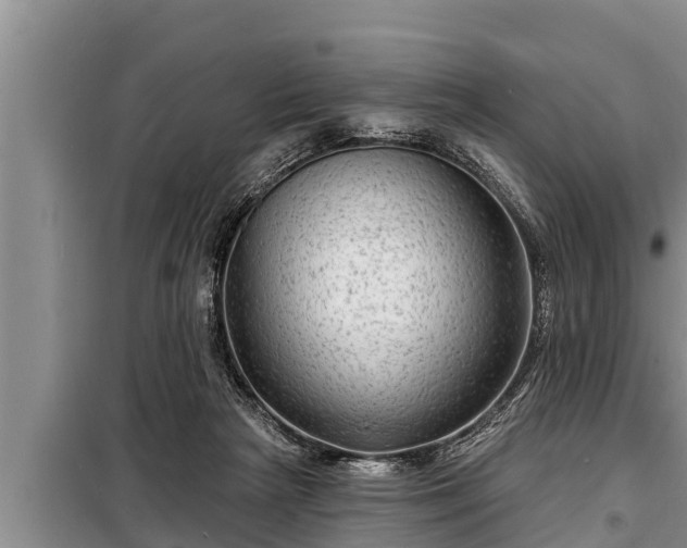 X0000098170265200805011020