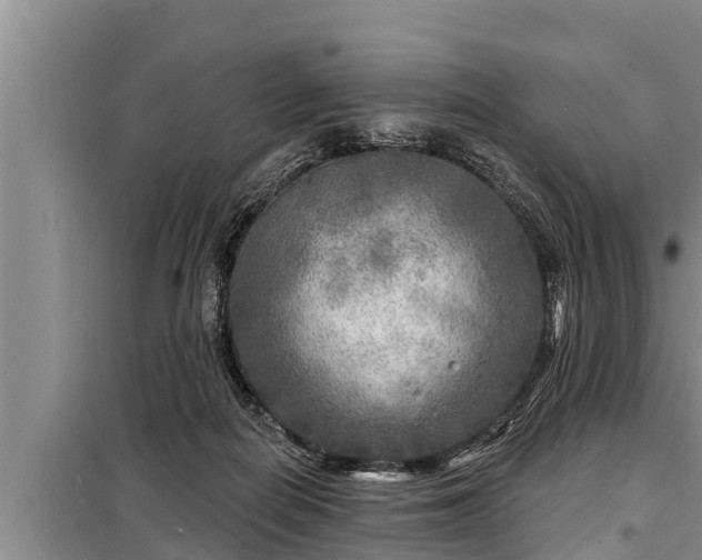 X0000098170266200805011020