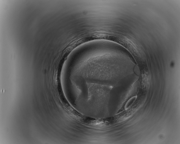 X0000098170267200805011020