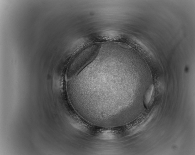 X0000098170268200805011020