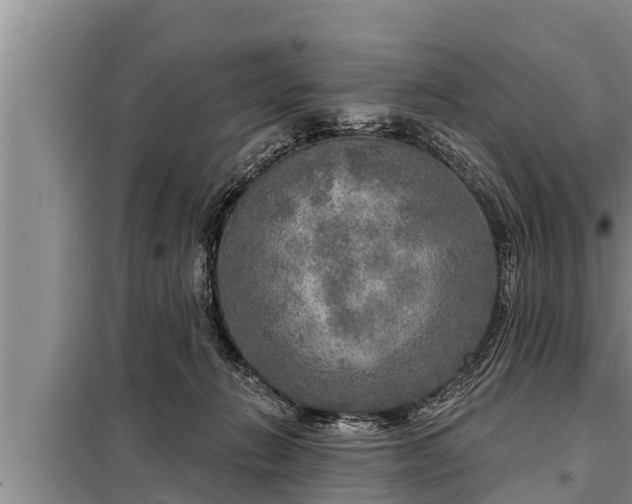 X0000098170270200805011020