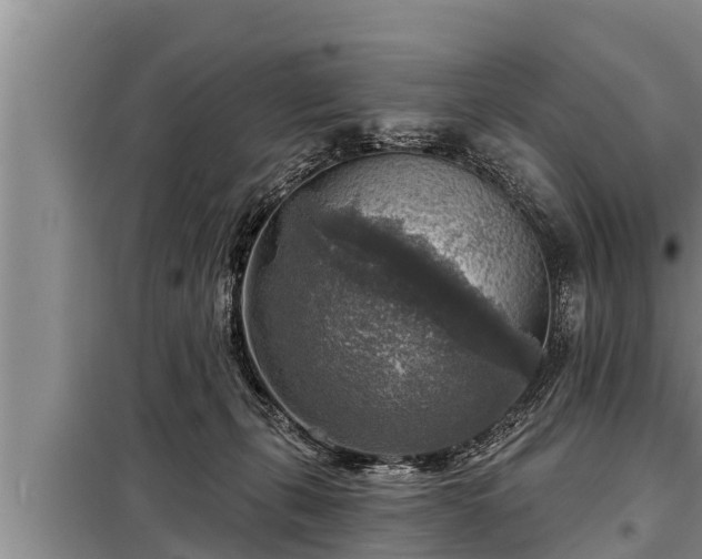 X0000098170271200805011020