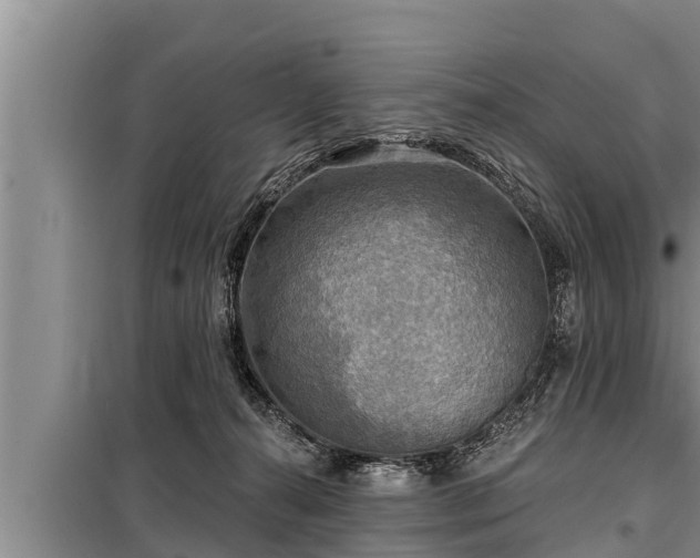 X0000098170272200805011020