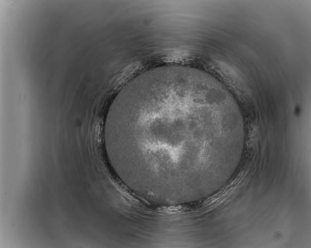 X0000098170273200805011020