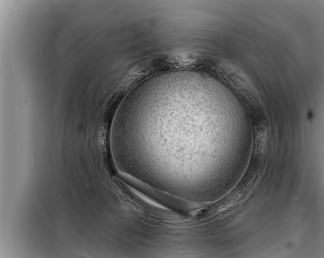 X0000098170274200805011020