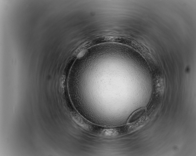 X0000098170275200805011020