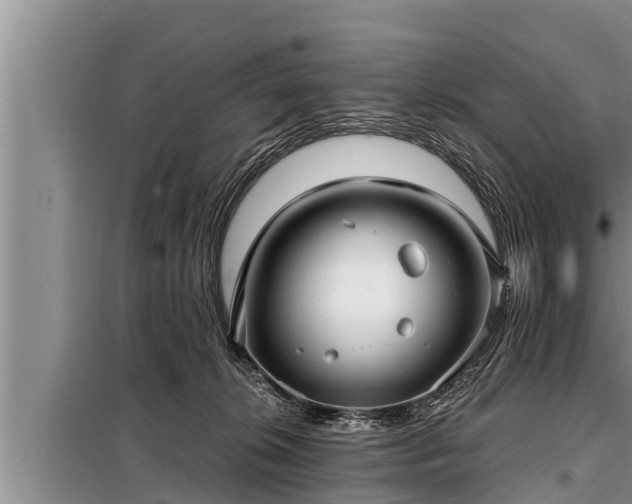 X0000098170276200805011020