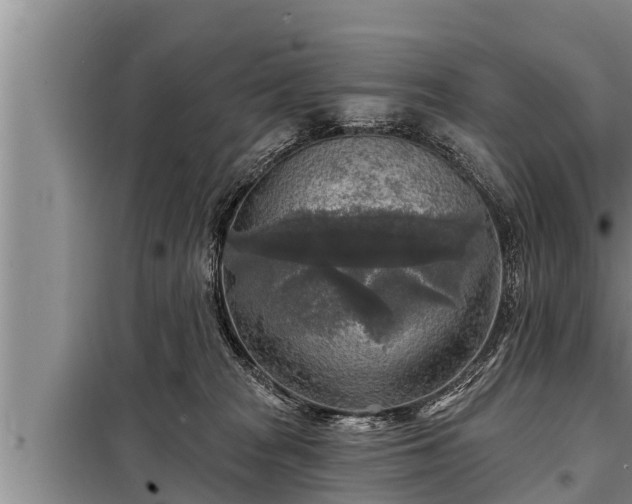 X0000098170277200805011020