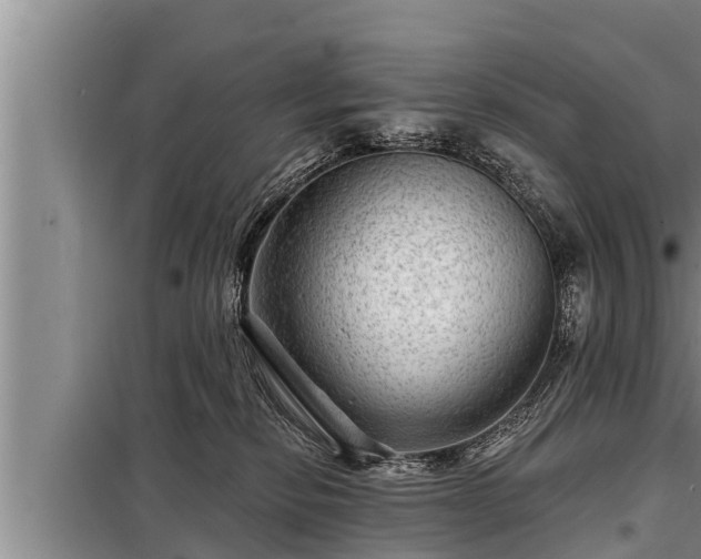 X0000098170278200805011020