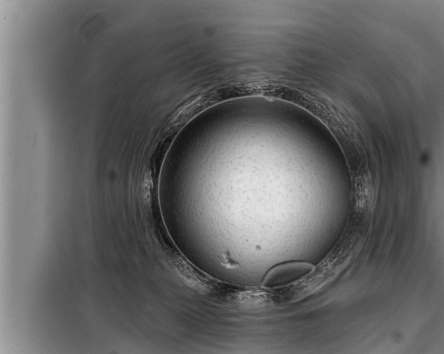 X0000098170279200805011020