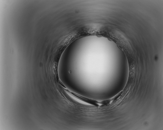 X0000098170280200805011020