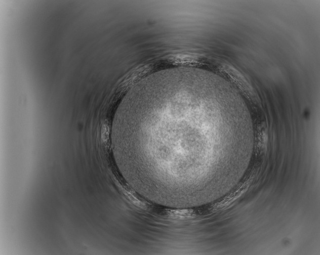 X0000098170281200805011020