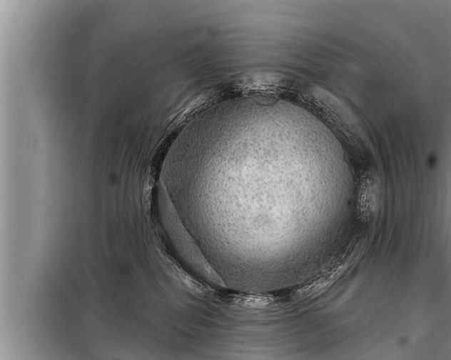 X0000098170282200805011020