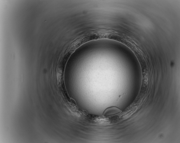 X0000098170283200805011020