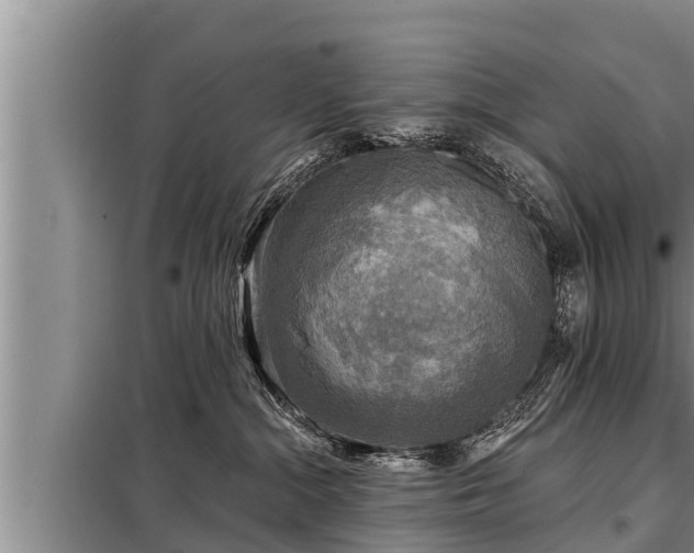 X0000098170284200805011020