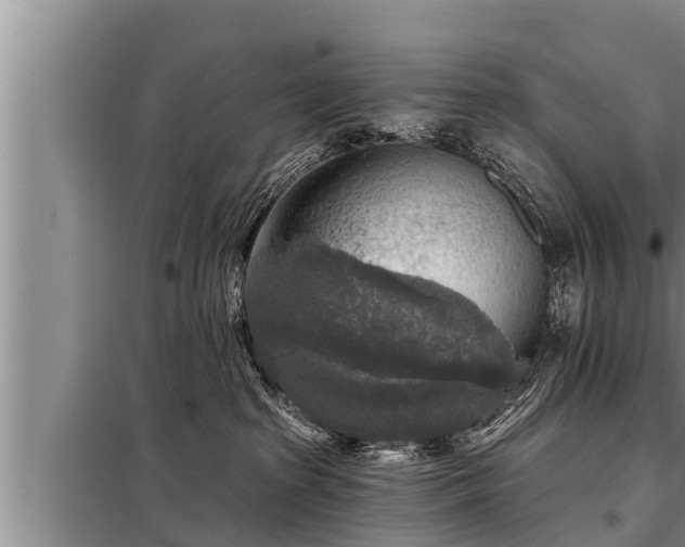 X0000098170285200805011020