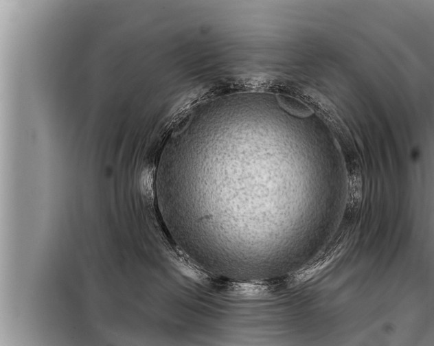 X0000098170286200805011020