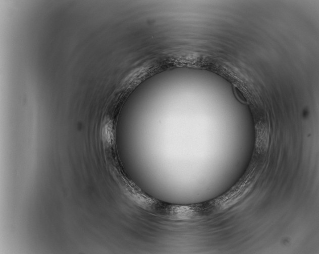 X0000098170287200805011020