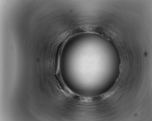 X0000098170288200805011020