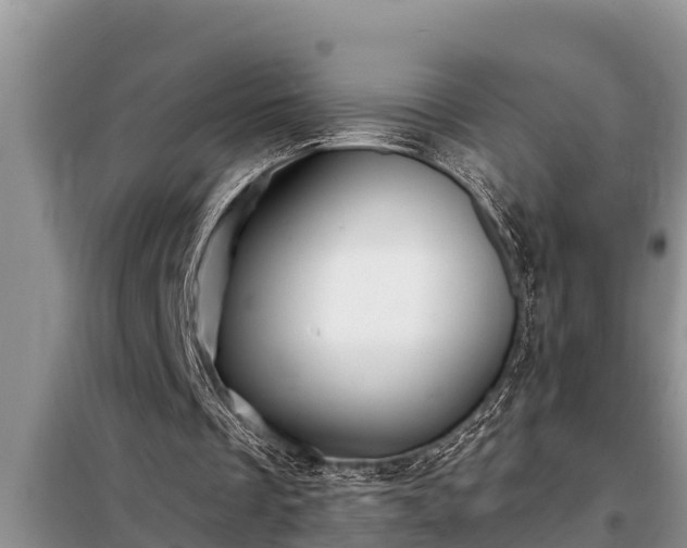 X0000098170289200805011020