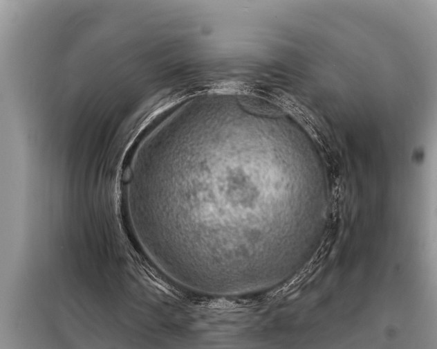 X0000098170290200805011020