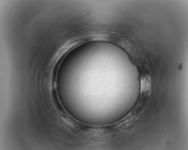 X0000098170291200805011020