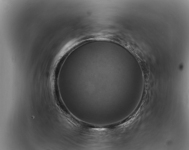 X0000098170295200805011020