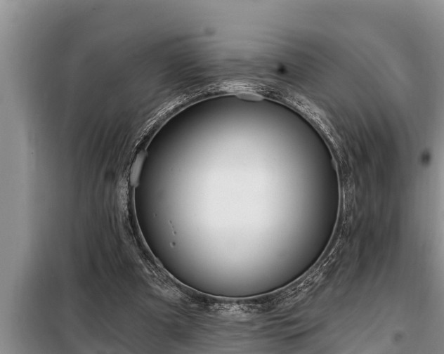 X0000098170297200805011020