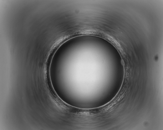 X0000098170298200805011020