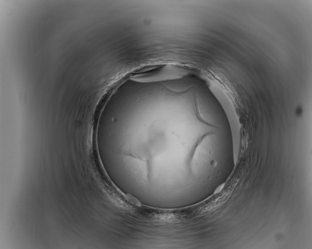 X0000098170301200805011020