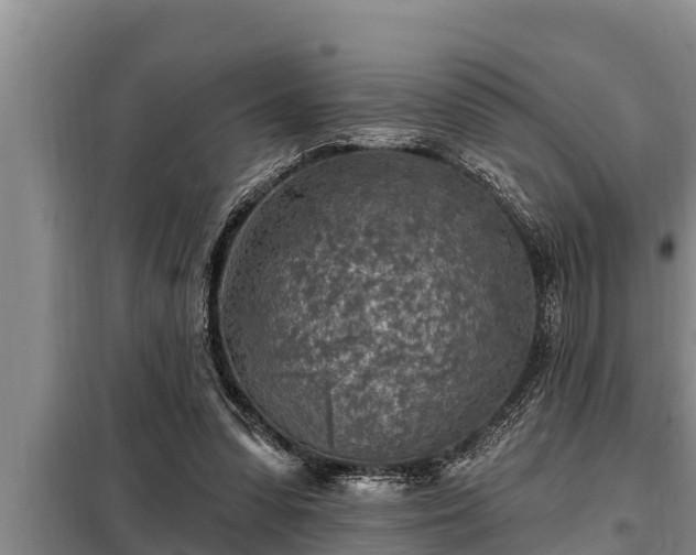 X0000098170303200805011020