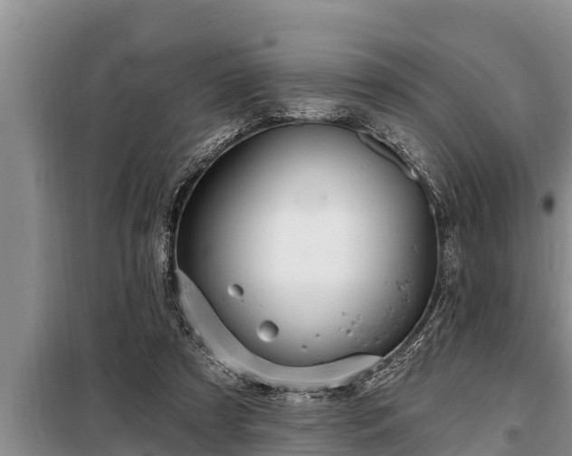 X0000098170305200805011020