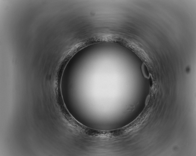 X0000098170306200805011020