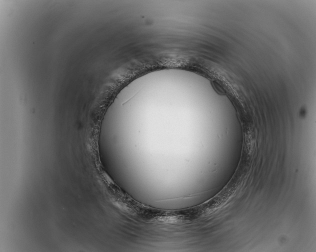 X0000098170307200805011020