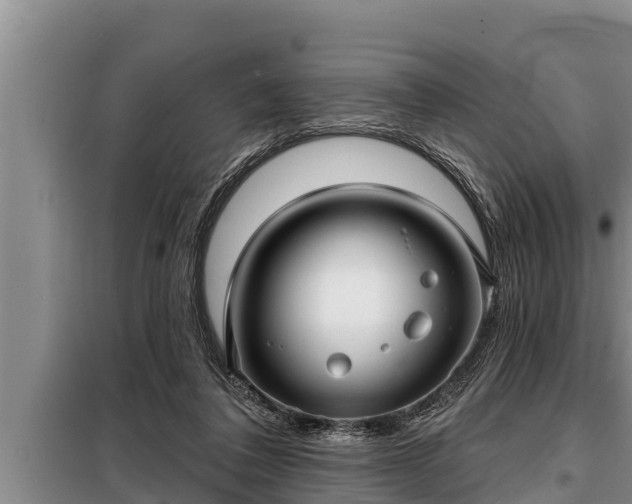 X0000098170308200805011020