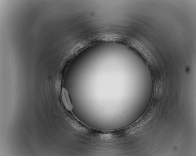 X0000098170309200805011020