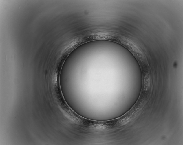 X0000098170310200805011020