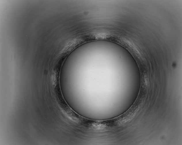 X0000098170311200805011020