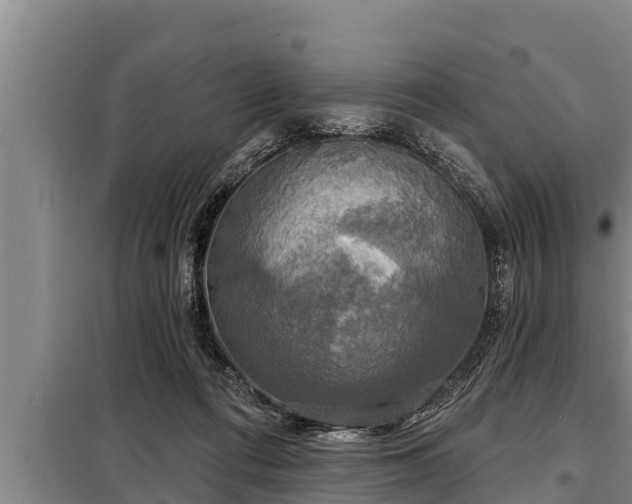 X0000098170312200805011020