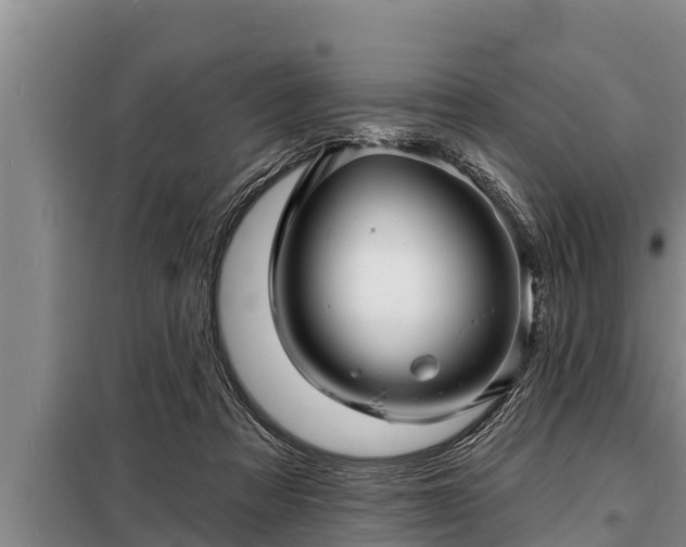 X0000098170313200805011019