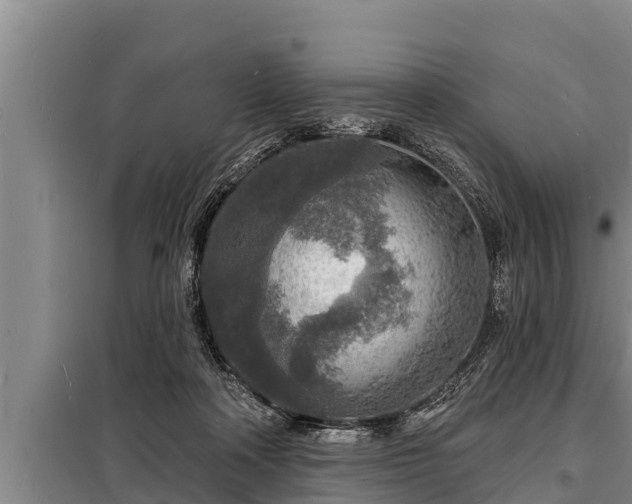 X0000098170314200805011019