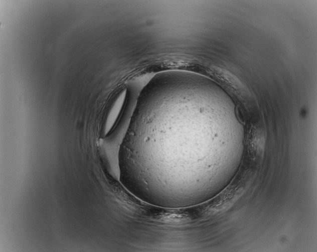 X0000098170315200805011019