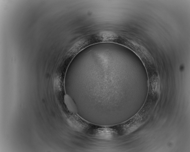 X0000098170316200805011019