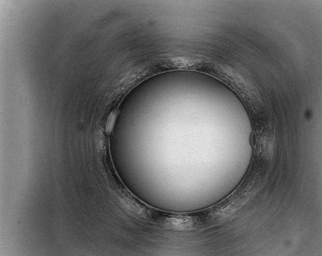 X0000098170317200805011019