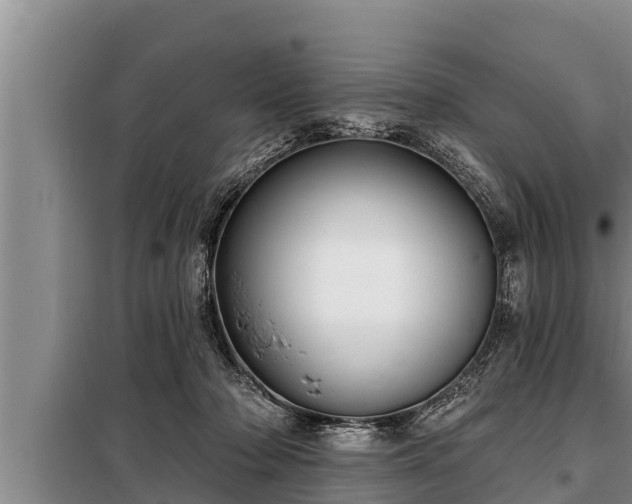 X0000098170318200805011019